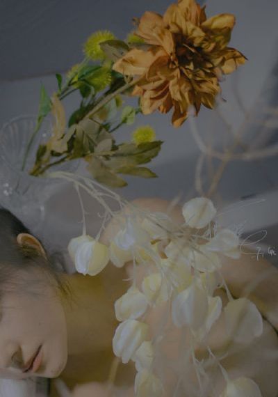 欧美成是全亚洲更新最快内容_超清免费BD在线观看