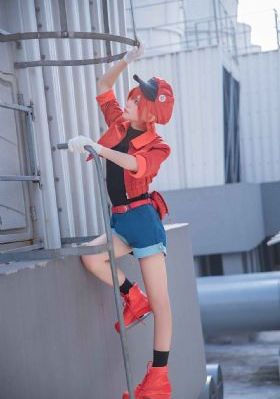 亚洲爱情岛论坛路线一路线_精彩预告视频高清在线观看