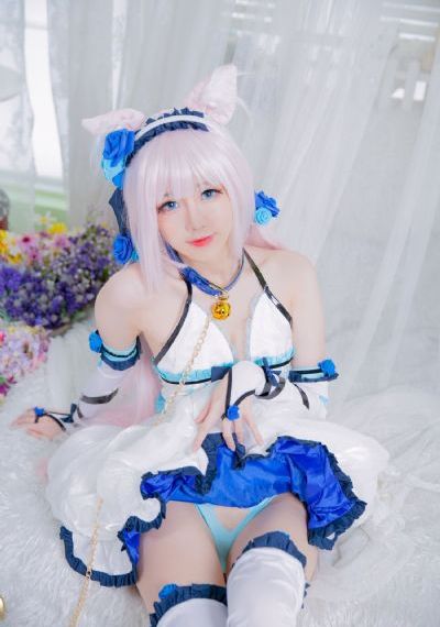 国产性天天综合网_免费完整版在线观看高清